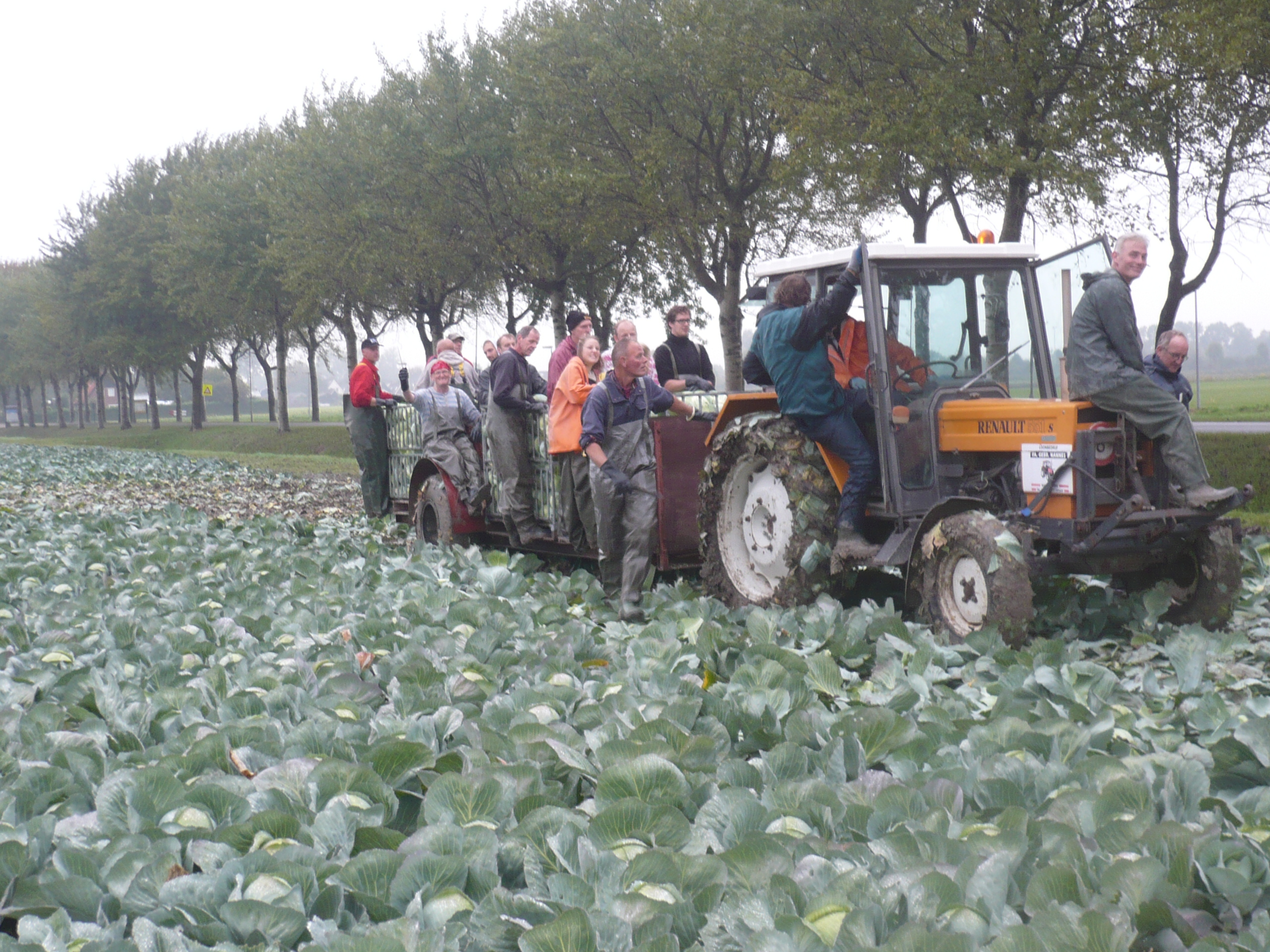 Koolactie verloopt voorspoedig!