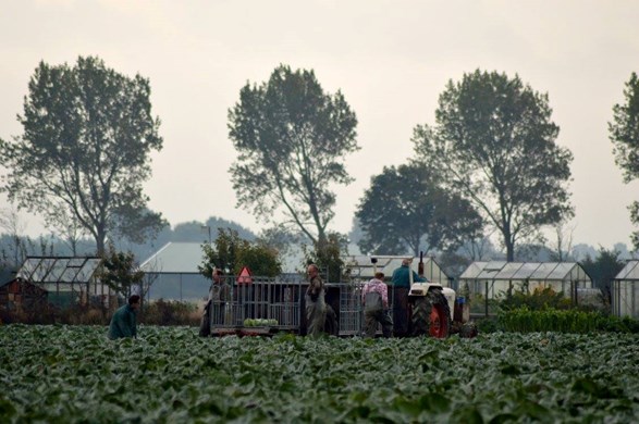 14692092_10207378947014069_4248457978282666153_o