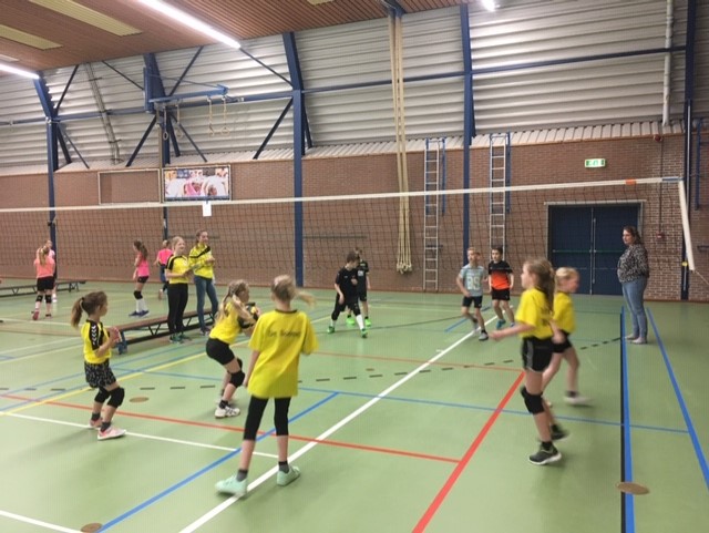 Schoolvolleybaltoernooi 2019 in Harenkarspelhal