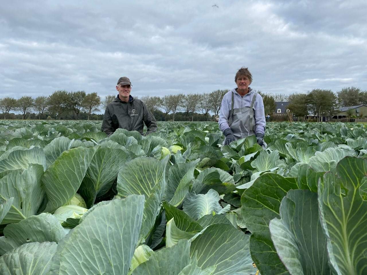 meer foto's koolsnijden