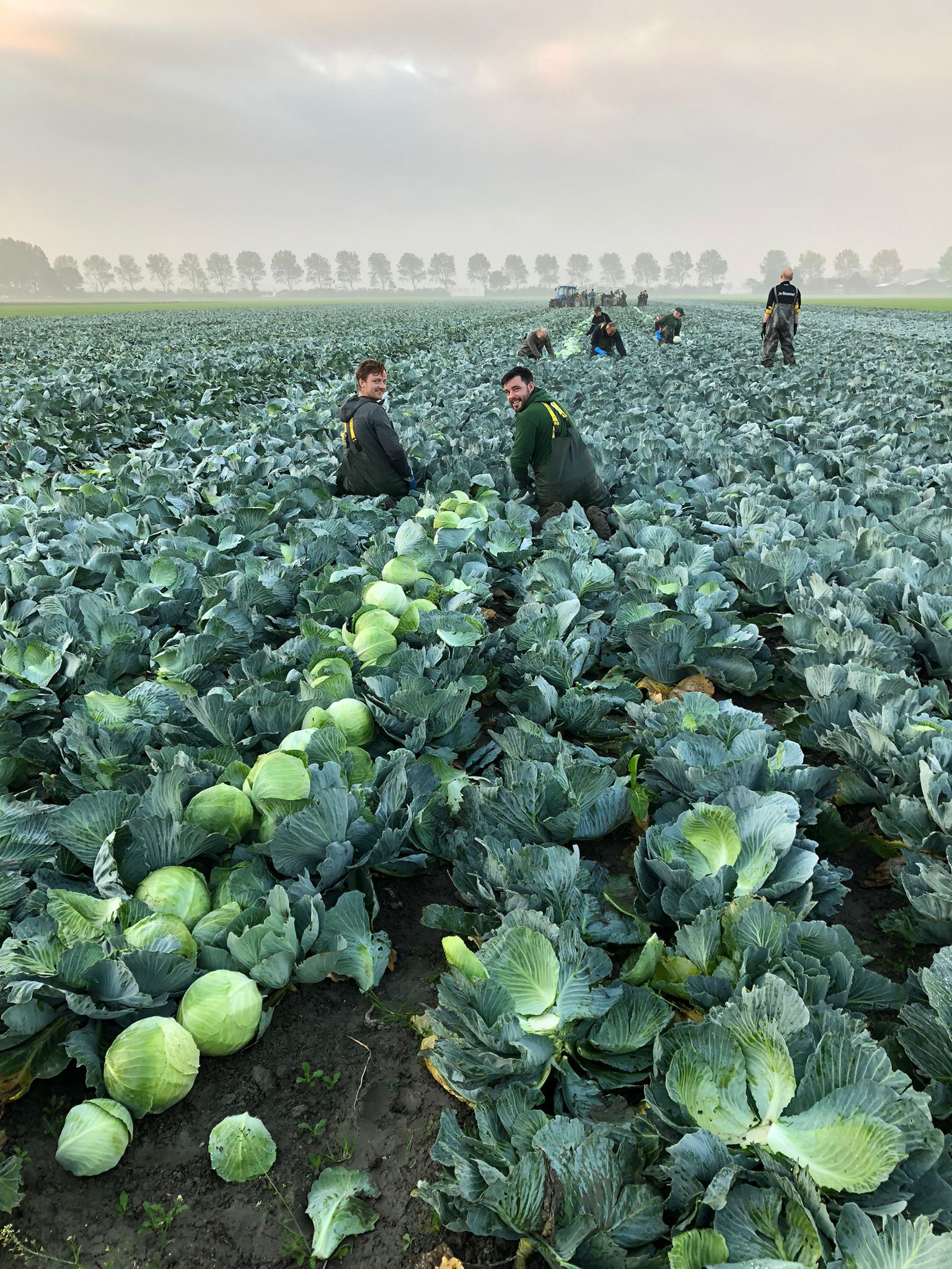 Boemel - Koolsnijden zaterdag 21 oktober