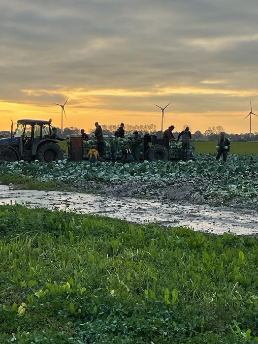 vervolg koolactie 21-10