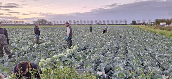 IMG-20251021-WA0005 IMG-20251021-WA0005