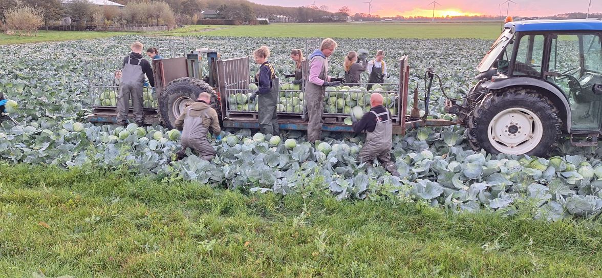 Koolactie 18 okt 2025